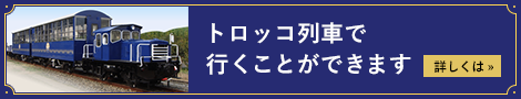 トロッコ電車で行くことができます 詳しくは